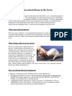 Adrenocortical Disease in The Ferret