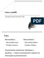 Anatomia Do Faro PDF