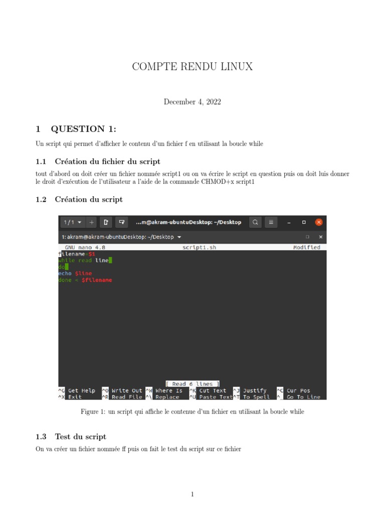 Scripts Linux : Exemples et Tests | PDF | Structure de contrôle ...
