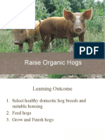MTJ Raise Organic Hogs - Elective
