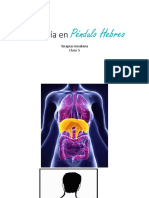 Maestría en Péndulo Hebreo - Clase 5