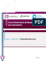 4 Apunte - 2 - Plasticidad - Neuronal