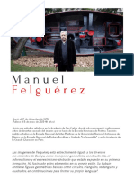 Presentacion Felguerez