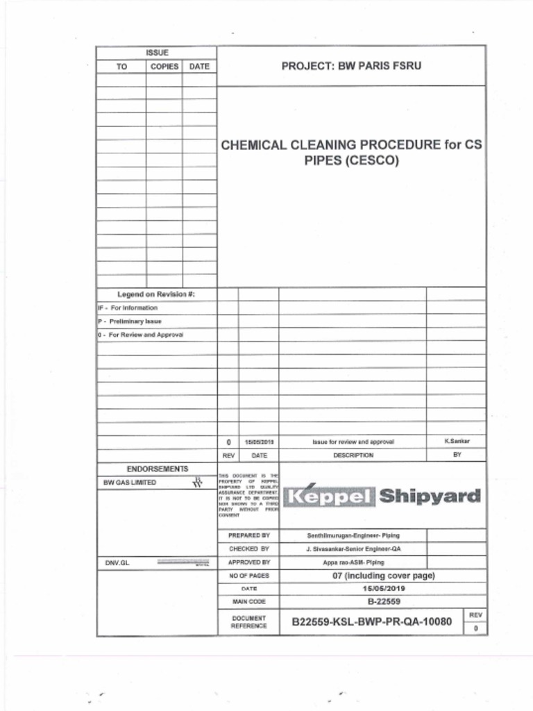 80) Chemical Cleaning Procedure For CS Pipes (CESCO) (Rev0) PDF