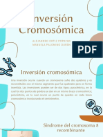 Inversión cromosómica: síndrome del cromosoma 8 recombinante