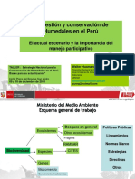Walterhuamani Gestión de Humedales Actual Escenario 9 10 Dic 2010