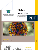 Fiebre Amarilla 91062