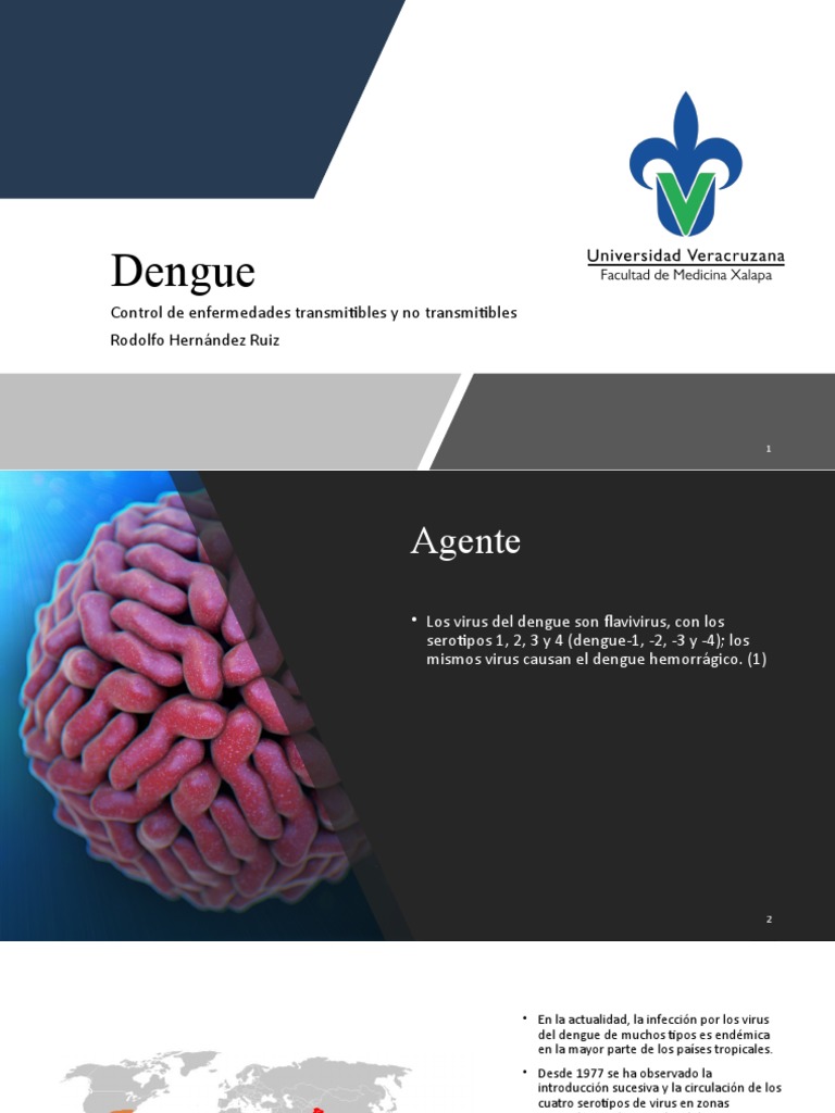 Guía Completa sobre el Dengue y su Control | PDF | Aedes aegypti ...