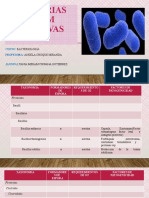 Bacterias Gram Positivas