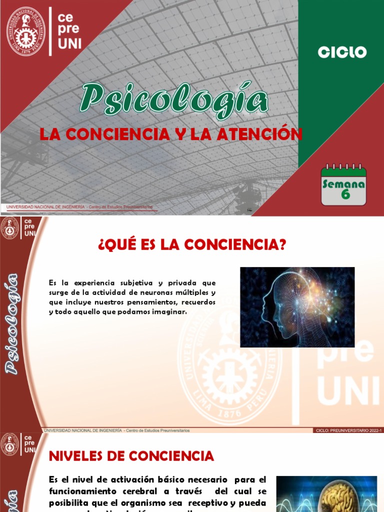 Los niveles de conciencia y tipos de atención | PDF | Yo | Conciencia