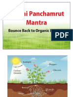 Bhumi Panchamrut Mantra for Organic Farming Soil Health