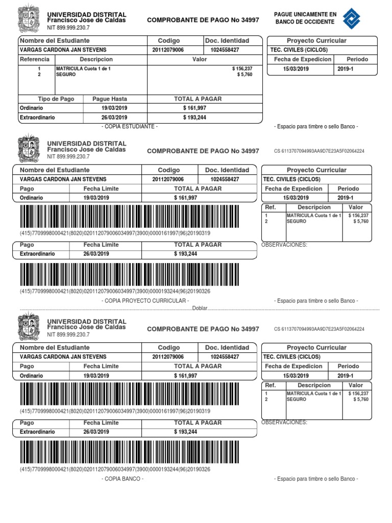 Recibo de Pago Jan | PDF