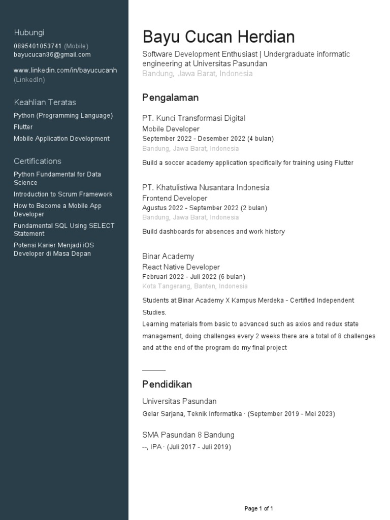 Software Developer Profile Bayu Cucan Herdian | PDF | Computer