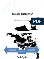 Biology Chapter 5