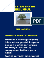 Ekosistem Pantai Berlumpur