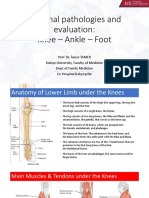 Regional pathologies and evaluation of the Knee, Ankle and Foot