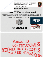 Derecho Constitucional Semana - X