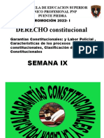 Derecho Constitucional Semana - Ix