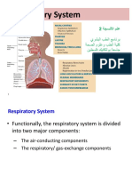 Respiratory System