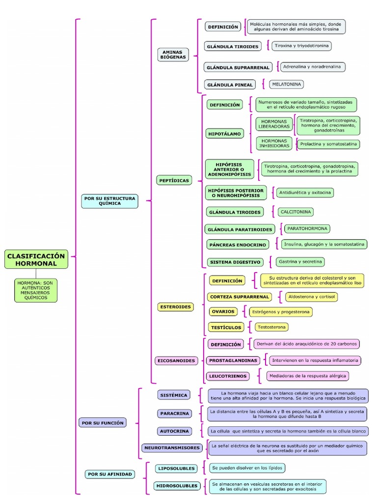 Cuadro Sinóptico Clasificación de Las Hormonas | PDF