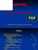 Haryana Agriculture Strategy Document Summary