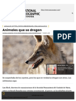 Animales Que Se Drogan - National Geographic en Español