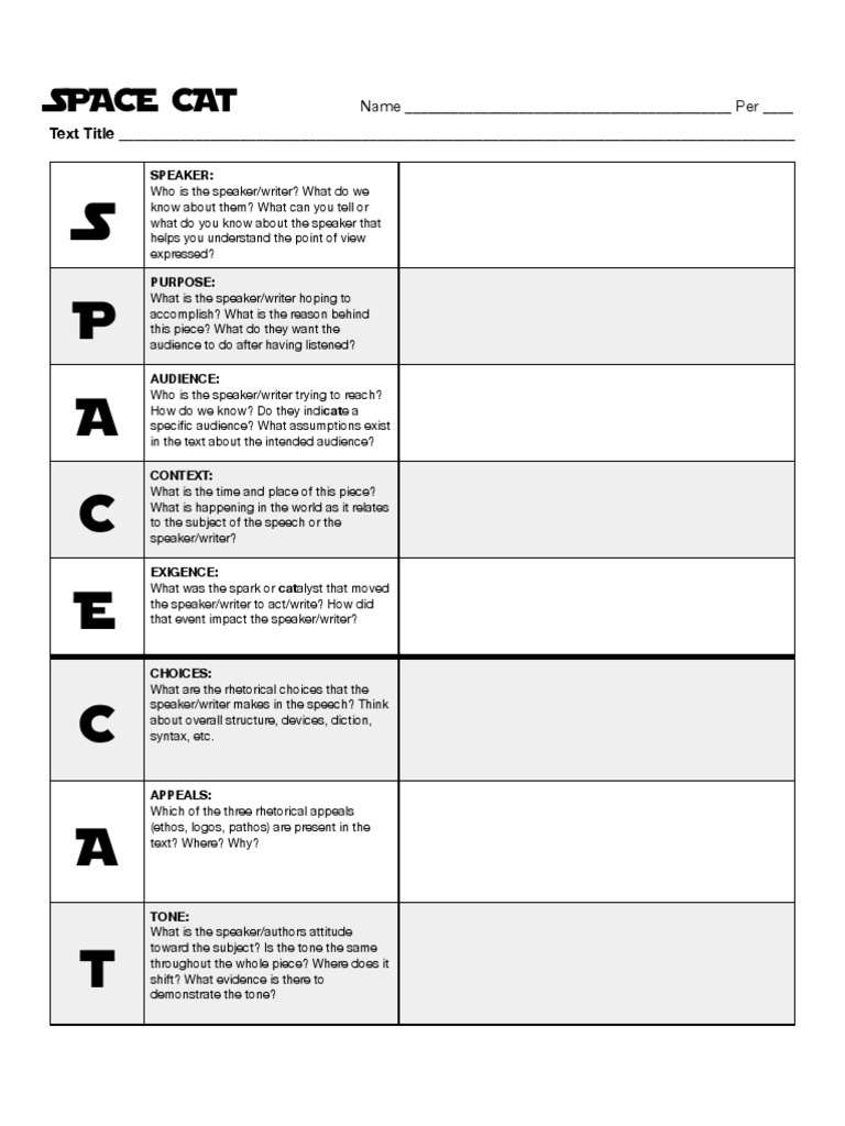 Kami Export Maria Garcia SPACECAT Worksheet PDF