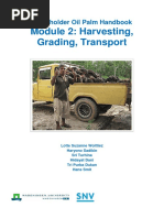 Oil Palm Grading Manual Overview | PDF | Palm Oil | Nature