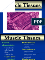 2-Muscle Structure