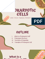 Prokaryotes