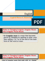 Rules in Changing Irregular Singular Nouns Into Irregular Plural Nouns