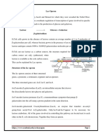 Lac Operon