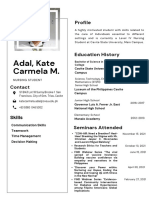 Gray Black Professional Clean Modern Babysitter Resume