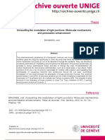 Unravelling The Modulation of Tight Junctions: Molecular Mechanisms and Permeation Enhancement