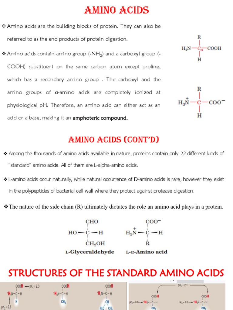 Amino Acids | PDF