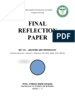 Final Reflection Paper