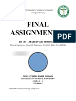 Final Assignment 3 BSN 1C