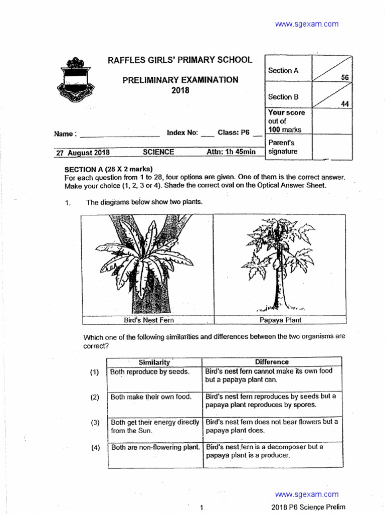 2018 P6 Science SA2 Raffles | PDF
