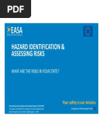 4-SSG EASA SMS 3 Hazard Risk