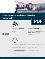 Conceptos Generales Del Derecho Comercial