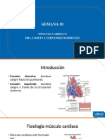 Musculo Cardiaco y Liso. Dra. Fernández