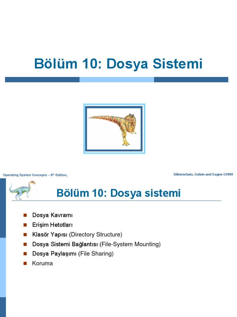 Bolum 10 Pdf