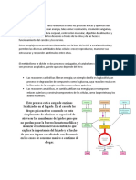 Metabolismo: Anabolismo y Catabolismo