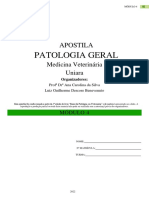 Patologia - Modulo 4 2022