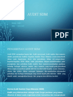 Audit SDM