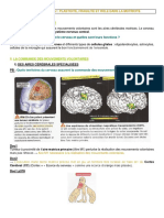 Tspe Chap2 Le Cerveau