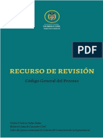 Recurso de Revisión CGP P