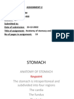 STOMACH