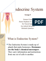 Endocrine System UHMMM