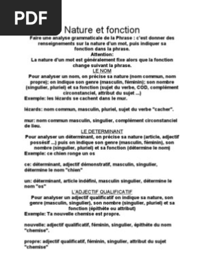 Nature Et Fonction Pdf Nom Grammaire Nombre Grammatical